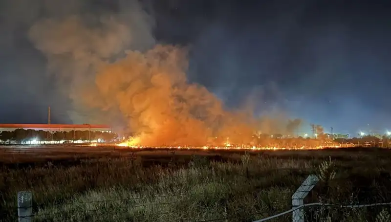 İzmir'de Gece Yarısı Yangın Paniği: Korku Dolu Anlar!