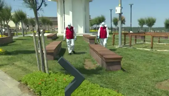 Kene Görülme Sıklığında Endişe Verici Artış: Halka Açık Alanlar İlaçlanıyor