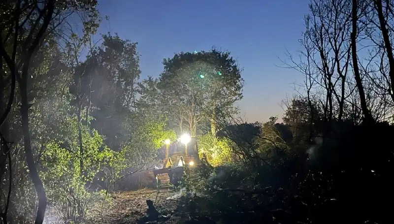 Edirne’de Korkutan Orman Yangını sonunda Kontrol Altına Alındı