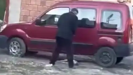 Sokakta Köpeğe Şiddet: İnsanlık Dışında Bir Davranış