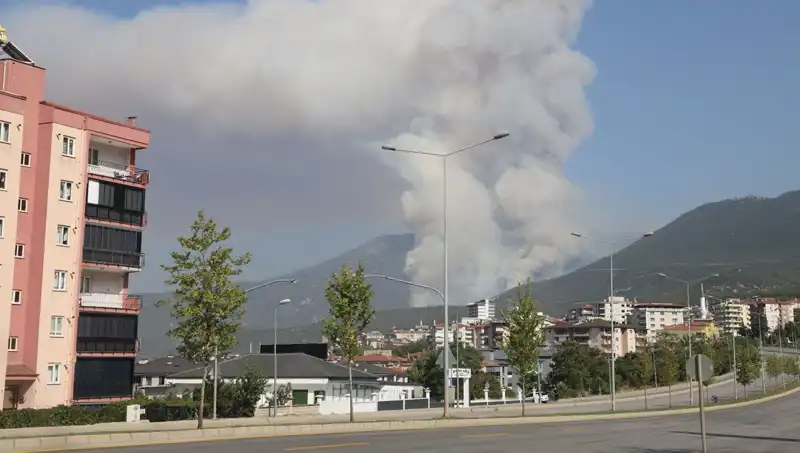 Denizli'de Orman Yangını: Doğa Katliamının Ardında Kim Var?
