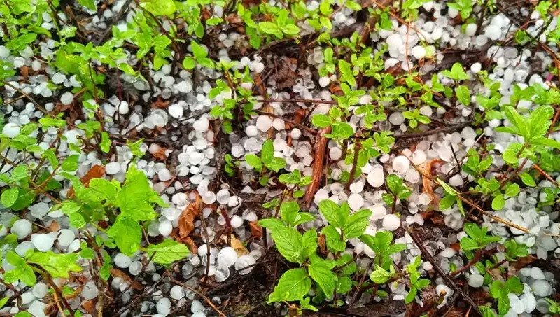 Temmuz Ortasında Yaşanan Dolu Felaketi: Etkileri ve Sonuçları