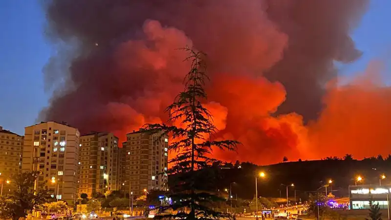 Bursa'daki Yangınlar Şehri Tehdit Ediyor: Tehlikenin Boyutu Ne?