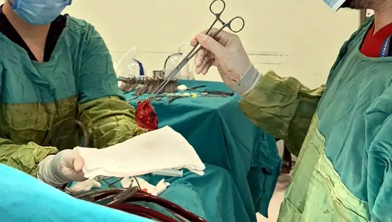 Kalp Kapağı Çürüyen Hastaya 7 Saatlik Mucizevi Ameliyat Başarıyla Gerçekleşti