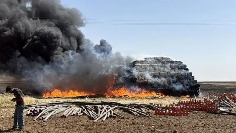 Mardin'de Anız Yangını: Tarım Arazileri Tehlikeye Girdi!